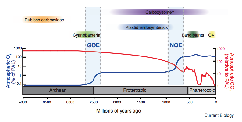 Geologic time and the evolution of photosynthesis