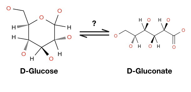 Glucose and Gluconate